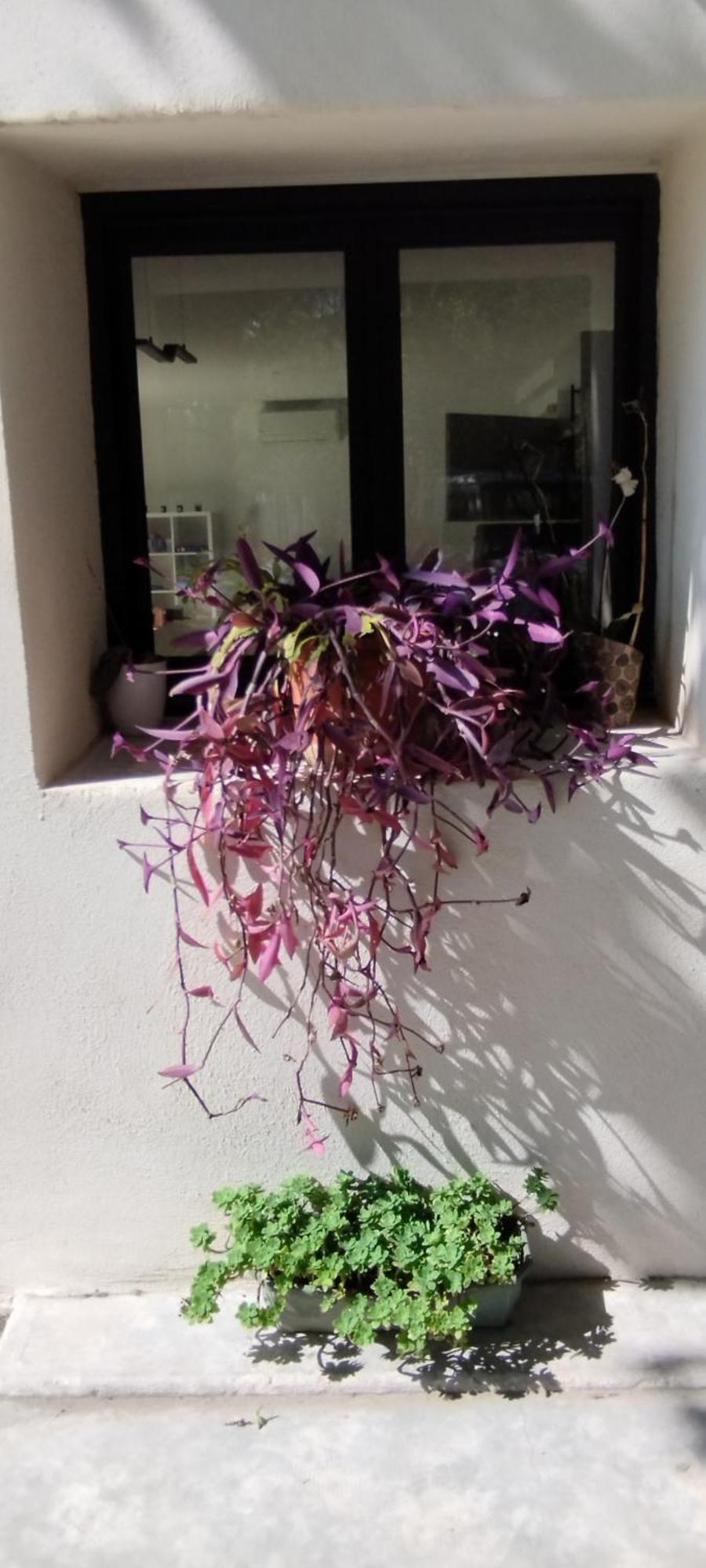 הוילה לה תור Mas En Provence מראה חיצוני תמונה