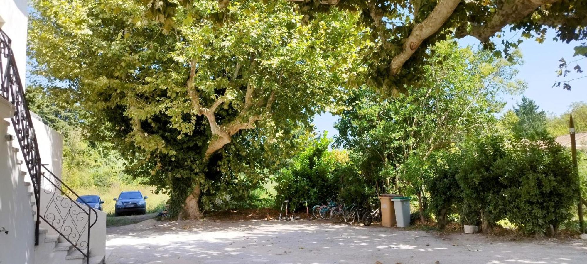 הוילה לה תור Mas En Provence מראה חיצוני תמונה